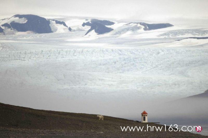 NORWAY-SVALBARD-NATURE-ARCTIC-POLARBEARS-081512_0.jpg